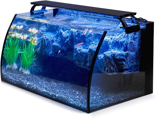 The 5 Best Fish Tank Reviews and Tested 2024 3
fish tank
10 gallon fish tank
20 gallon fish tank
betta fish tank
5 gallon fish tank
75 gallon fish tank
55 gallon fish tank
30 gallon fish tank
fish tank stand
100 gallon fish tank
50 gallon fish tank
fish tank filter
40 gallon fish tank
fish tank decorations
small fish tank
saltwater fish tank
fish tank heater
how to clean a fish tank
lego fish tank
why is my fish tank cloudy
brown algae in fish tank
fish tank near me
how to clean a fish tank
why is my fish tank cloudy
how to clean fish tan
how many fish in a 10 gallon tank
how to cycle a fish tank
how to lower nitrates in fish tank
how to get rid of algae in fish tank
how many fish in a 20 gallon tank
how to lower nitrites in fish tank
how to set up a fish tank
How much would a fish tank cost?
Is it fish tank or fishtank?
Does it cost a lot to run a fish tank?
How many fish can be in a 20 gallon tank?
10 gallon fish tank
20 gallon fish tank
5 gallon fish tank
75 gallon fish tank
fish tank live
100 gallon fish tank
40 gallon fish tank
fish tank stand
125 gallon fish tank
fish tank filter
100 gal fish tank
fish tank 10 gallon
saltwater fish tank
small fish tank
150 gallon fish tank
20 gallons fish tank
75 gal fish tank
75 gallon fish tank and stand
75 gallon fish tank stand
fish tank 20 gallon
fish tank 50 gallons
fish tank saltwater
10 gallon fish tanks
fish tank 30 gallon
fish tank 55 gal
fish tank 75 gallon
fish tank heater
fish tank st louis
fish tank with stand
10 gallon fish tank stand
120 gallon fish tank
15 gallon fish tank
20 gallon fish tank stand
5 gal fish tank
75 gallon fish tank with stand
air pump for fish tank
aquarium fish tank stand
fish tank 40 gallon
tank for fighter fish
walmart fish tanks
10 gallon fish tank dimensions
10gallon fish tank
125 gal fish tank
29 gallon fish tank
40 gallon fish tank stand
bass pro shops fish tank
fish tank 100 gallon
fish tank 150 gallon
fish tank 30 gal
fish tank 5 gallon
fish tank table
20 gallon fish tank and stand
20gal fish tank
60 gallon fish tank
75 gallon fish tank aquarium
aquarium fish tank decorations
brown algae in fish tank
fish tank 50 gallon
fish tank background