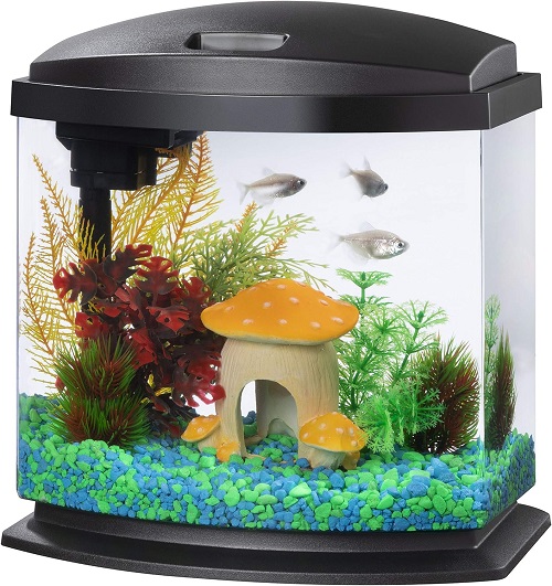 The 5 Best Fish Tank Reviews and Tested 2024 6
fish tank
10 gallon fish tank
20 gallon fish tank
betta fish tank
5 gallon fish tank
75 gallon fish tank
55 gallon fish tank
30 gallon fish tank
fish tank stand
100 gallon fish tank
50 gallon fish tank
fish tank filter
40 gallon fish tank
fish tank decorations
small fish tank
saltwater fish tank
fish tank heater
how to clean a fish tank
lego fish tank
why is my fish tank cloudy
brown algae in fish tank
fish tank near me
how to clean a fish tank
why is my fish tank cloudy
how to clean fish tan
how many fish in a 10 gallon tank
how to cycle a fish tank
how to lower nitrates in fish tank
how to get rid of algae in fish tank
how many fish in a 20 gallon tank
how to lower nitrites in fish tank
how to set up a fish tank
How much would a fish tank cost?
Is it fish tank or fishtank?
Does it cost a lot to run a fish tank?
How many fish can be in a 20 gallon tank?
10 gallon fish tank
20 gallon fish tank
5 gallon fish tank
75 gallon fish tank
fish tank live
100 gallon fish tank
40 gallon fish tank
fish tank stand
125 gallon fish tank
fish tank filter
100 gal fish tank
fish tank 10 gallon
saltwater fish tank
small fish tank
150 gallon fish tank
20 gallons fish tank
75 gal fish tank
75 gallon fish tank and stand
75 gallon fish tank stand
fish tank 20 gallon
fish tank 50 gallons
fish tank saltwater
10 gallon fish tanks
fish tank 30 gallon
fish tank 55 gal
fish tank 75 gallon
fish tank heater
fish tank st louis
fish tank with stand
10 gallon fish tank stand
120 gallon fish tank
15 gallon fish tank
20 gallon fish tank stand
5 gal fish tank
75 gallon fish tank with stand
air pump for fish tank
aquarium fish tank stand
fish tank 40 gallon
tank for fighter fish
walmart fish tanks
10 gallon fish tank dimensions
10gallon fish tank
125 gal fish tank
29 gallon fish tank
40 gallon fish tank stand
bass pro shops fish tank
fish tank 100 gallon
fish tank 150 gallon
fish tank 30 gal
fish tank 5 gallon
fish tank table
20 gallon fish tank and stand
20gal fish tank
60 gallon fish tank
75 gallon fish tank aquarium
aquarium fish tank decorations
brown algae in fish tank
fish tank 50 gallon
fish tank background