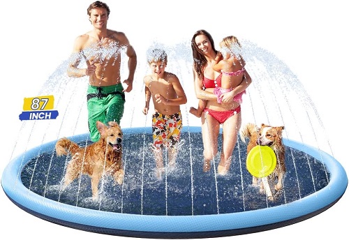 dog swimming pool
dog swimming pool near me
dog swimming pool denver
dog swimming pool austin
indoor dog swimming pool near me
dog swimming pool san diego
dog swimming pool nyc
dog swimming pool seattle
frisco outdoor dog swimming pool
indoor dog swimming pool
foldable dog swimming pool
dog swimming pool for exercise
dog swimming pool indoor

where can i take my dog swimming in a pool
Is it OK for my dog to swim in the pool?
Is it a good idea to have a dog pool?
Where can my dog go swimming in NYC?
What kind of pool can dogs swim in?
Is swimming better exercise for dogs than walking?
How do I exercise my dog in the pool?
Are swimming pools OK for dogs?
What kind of pool water is best for dogs?



dog swimming pool
swimming pool for a dog
dog pool swimming
swimming pools for dogs
dog swimming pools
can dogs swim in chlorine pools
dog ramp for swimming pool
dog drinking swimming pool water
dog swims in pool
dogs drinking swimming pool water
dogs swimming pool
swim pools for dogs
plastic swimming pool for dogs
dog swimming pool large
pools for dogs to swim
can dogs drink swimming pool water
best dog swimming pools
dogs swimming in pool
large dog swimming pools
dog in swimming pool
dog swimming in pool
how to stop dog from drinking pool water while swimming
large swimming pool for dogs
diy dog ramp for swimming pool
diy dog swimming pool
dog swimming pool safety
is it safe for dogs to swim in pools
largest dog swimming pool
pools for dogs to swim in
should i wash my dog after swimming in the pool
teach dog to swim in pool
can dogs go into swimming pools
deep dog swimming pool
dog swimming pool video
dog swimming pools for sale
dogs and swimming pools
dogs chlorine swimming pools
dogs swimming in pools
how to get dog to swim in pool
how to teach a dog to swim in a pool
how to teach a dog to swim in pool
how to teach dog to swim in pool
swimming pool dog
teaching dog to swim in pool
