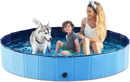 dog swimming pool
dog swimming pool near me
dog swimming pool denver
dog swimming pool austin
indoor dog swimming pool near me
dog swimming pool san diego
dog swimming pool nyc
dog swimming pool seattle
frisco outdoor dog swimming pool
indoor dog swimming pool
foldable dog swimming pool
dog swimming pool for exercise
dog swimming pool indoor

where can i take my dog swimming in a pool
Is it OK for my dog to swim in the pool?
Is it a good idea to have a dog pool?
Where can my dog go swimming in NYC?
What kind of pool can dogs swim in?
Is swimming better exercise for dogs than walking?
How do I exercise my dog in the pool?
Are swimming pools OK for dogs?
What kind of pool water is best for dogs?



dog swimming pool
swimming pool for a dog
dog pool swimming
swimming pools for dogs
dog swimming pools
can dogs swim in chlorine pools
dog ramp for swimming pool
dog drinking swimming pool water
dog swims in pool
dogs drinking swimming pool water
dogs swimming pool
swim pools for dogs
plastic swimming pool for dogs
dog swimming pool large
pools for dogs to swim
can dogs drink swimming pool water
best dog swimming pools
dogs swimming in pool
large dog swimming pools
dog in swimming pool
dog swimming in pool
how to stop dog from drinking pool water while swimming
large swimming pool for dogs
diy dog ramp for swimming pool
diy dog swimming pool
dog swimming pool safety
is it safe for dogs to swim in pools
largest dog swimming pool
pools for dogs to swim in
should i wash my dog after swimming in the pool
teach dog to swim in pool
can dogs go into swimming pools
deep dog swimming pool
dog swimming pool video
dog swimming pools for sale
dogs and swimming pools
dogs chlorine swimming pools
dogs swimming in pools
how to get dog to swim in pool
how to teach a dog to swim in a pool
how to teach a dog to swim in pool
how to teach dog to swim in pool
swimming pool dog
teaching dog to swim in pool
