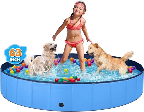 dog swimming pool
dog swimming pool near me
dog swimming pool denver
dog swimming pool austin
indoor dog swimming pool near me
dog swimming pool san diego
dog swimming pool nyc
dog swimming pool seattle
frisco outdoor dog swimming pool
indoor dog swimming pool
foldable dog swimming pool
dog swimming pool for exercise
dog swimming pool indoor

where can i take my dog swimming in a pool
Is it OK for my dog to swim in the pool?
Is it a good idea to have a dog pool?
Where can my dog go swimming in NYC?
What kind of pool can dogs swim in?
Is swimming better exercise for dogs than walking?
How do I exercise my dog in the pool?
Are swimming pools OK for dogs?
What kind of pool water is best for dogs?



dog swimming pool
swimming pool for a dog
dog pool swimming
swimming pools for dogs
dog swimming pools
can dogs swim in chlorine pools
dog ramp for swimming pool
dog drinking swimming pool water
dog swims in pool
dogs drinking swimming pool water
dogs swimming pool
swim pools for dogs
plastic swimming pool for dogs
dog swimming pool large
pools for dogs to swim
can dogs drink swimming pool water
best dog swimming pools
dogs swimming in pool
large dog swimming pools
dog in swimming pool
dog swimming in pool
how to stop dog from drinking pool water while swimming
large swimming pool for dogs
diy dog ramp for swimming pool
diy dog swimming pool
dog swimming pool safety
is it safe for dogs to swim in pools
largest dog swimming pool
pools for dogs to swim in
should i wash my dog after swimming in the pool
teach dog to swim in pool
can dogs go into swimming pools
deep dog swimming pool
dog swimming pool video
dog swimming pools for sale
dogs and swimming pools
dogs chlorine swimming pools
dogs swimming in pools
how to get dog to swim in pool
how to teach a dog to swim in a pool
how to teach a dog to swim in pool
how to teach dog to swim in pool
swimming pool dog
teaching dog to swim in pool
