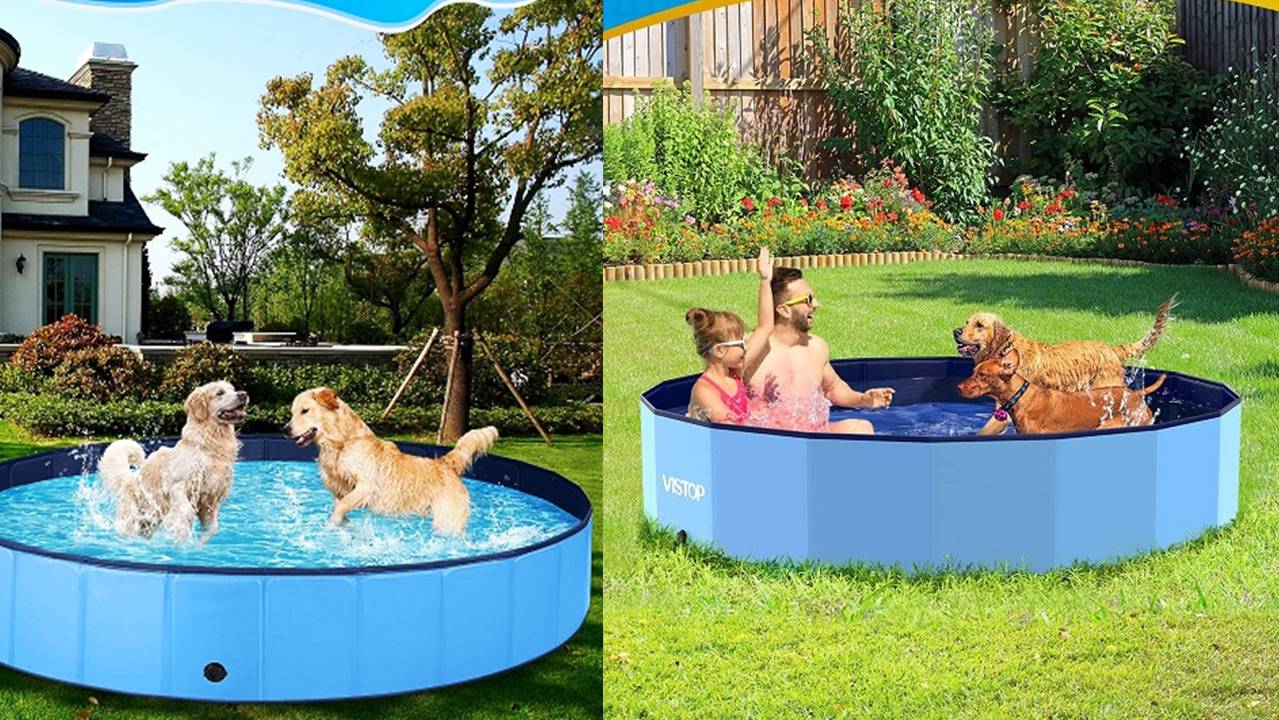 You are currently viewing TOP 5 : Best Dog Swimming Pool Reviews in 2024 (buying guide)