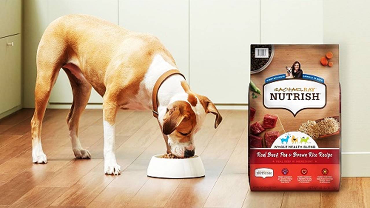 Read more about the article The 5 Best Dry Dog Food Reviews 2024