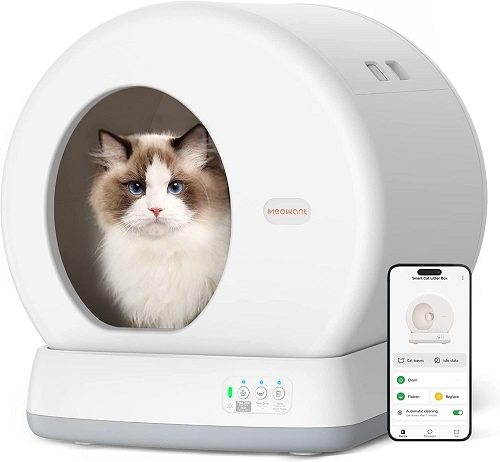 The Best 5 Automatic Cat Litter Boxes for Effortless Cleaning (Reviewed 2024) 3 automatic cleaning cat litter box
automatic cat litter box odor free
cat automatic litter box
petsafe automatic cat litter box
automatic self cleaning cat litter box
best automatic litter box for multiple cats
automatic cat litter box amazon
automatic cat litter box reviews
best automatic cat litter box for multiple cats
littermaid automatic cat litter box
automatic cat litter box for multiple cats
best litter box for multiple cats automatic
best automatic litter box for large cats
best automatic cat litter box for large cats
cat litter automatic box
automatic cat litter boxes reviews
automatic kitty litter box for multiple cats
best automatic litter box for big cats
cat litter for automatic litter box
amazon cat litter box automatic
automatic litter box for multiple cats
best multi cat automatic litter box
litter-robot 4 automatic self-cleaning cat litter box
will a cat automatically use a litter box
best automatic litter box multiple cats
cat genie automatic litter box
pet zone smart scoop automatic self-cleaning cat litter box
self cleaning cat litter box automatic
whisker litter-robot 4 automatic self-cleaning cat litter box
amazon automatic cat litter box
cat genie automatic cat litter box
do cats automatically use litter box
do cats automatically use the litter box
are automatic cat litter boxes worth it
cat litter box automatic cleaner
covered automatic cat litter box
petsmart automatic cat litter box
why do cats automatically use the litter box
automatic cat litter box nearby
used automatic cat litter box