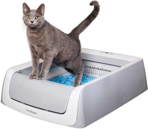 The Best 5 Automatic Cat Litter Boxes for Effortless Cleaning (Reviewed 2024) 5 automatic cleaning cat litter box
automatic cat litter box odor free
cat automatic litter box
petsafe automatic cat litter box
automatic self cleaning cat litter box
best automatic litter box for multiple cats
automatic cat litter box amazon
automatic cat litter box reviews
best automatic cat litter box for multiple cats
littermaid automatic cat litter box
automatic cat litter box for multiple cats
best litter box for multiple cats automatic
best automatic litter box for large cats
best automatic cat litter box for large cats
cat litter automatic box
automatic cat litter boxes reviews
automatic kitty litter box for multiple cats
best automatic litter box for big cats
cat litter for automatic litter box
amazon cat litter box automatic
automatic litter box for multiple cats
best multi cat automatic litter box
litter-robot 4 automatic self-cleaning cat litter box
will a cat automatically use a litter box
best automatic litter box multiple cats
cat genie automatic litter box
pet zone smart scoop automatic self-cleaning cat litter box
self cleaning cat litter box automatic
whisker litter-robot 4 automatic self-cleaning cat litter box
amazon automatic cat litter box
cat genie automatic cat litter box
do cats automatically use litter box
do cats automatically use the litter box
are automatic cat litter boxes worth it
cat litter box automatic cleaner
covered automatic cat litter box
petsmart automatic cat litter box
why do cats automatically use the litter box
automatic cat litter box nearby
used automatic cat litter box
