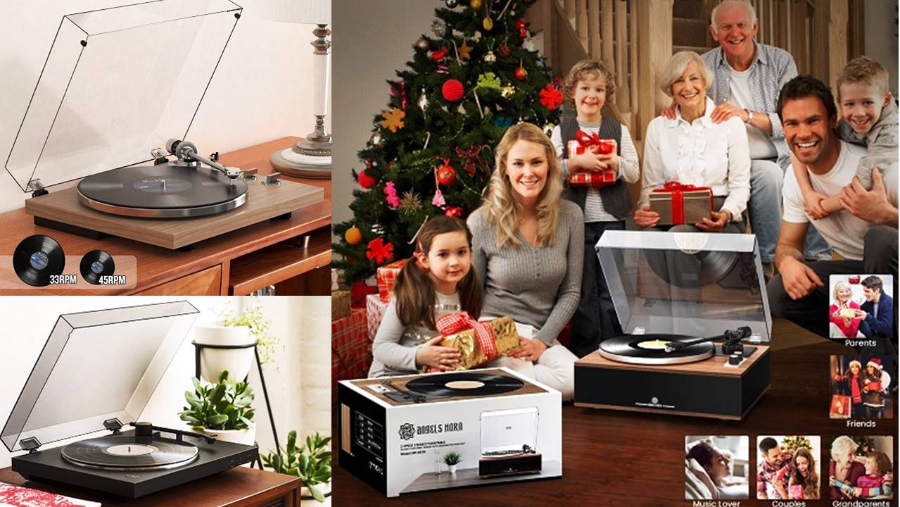 You are currently viewing The 5 Best Perfect Turntable for Your Home Audio System (Reviewd 2024)