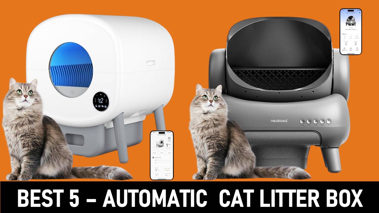 Read more about the article The Best 5 Automatic Cat Litter Boxes for Effortless Cleaning (Reviewed 2024)