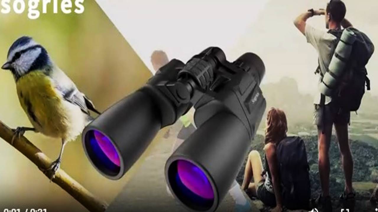 You are currently viewing The 5 Best Binocular for 2024: Clear Vision and Superior Performance