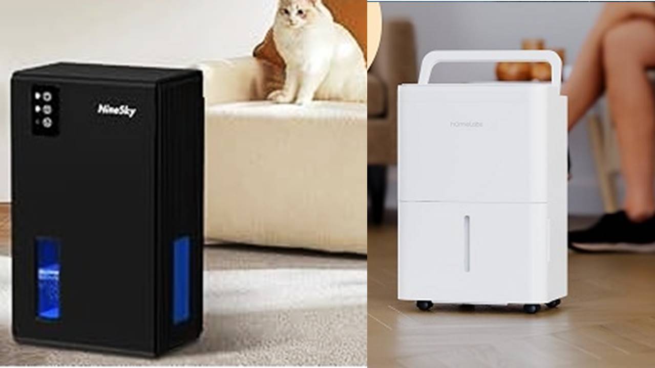 You are currently viewing The Best 5 Dehumidifiers for Home Use 2024