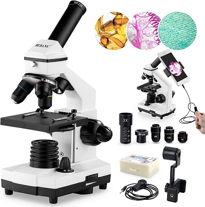 The 5 Best Microscope Review 2024 4 microscope
microscopic colitis
microscope labeled
microscopic
parts of a microscope
scanning electron microscope
electron microscope
microscope parts
compound microscope
microscopes
microscopic hematuria
transmission electron microscope
light microscope
microscopic inflammation colon
sem microscope
digital microscope
microscope parts and
microscope parts labeled
microscopic polyangiitis
tem microscope
compound light microscope
dissecting microscope
electron microscope microscope
labeled microscope
microscope definition
microscope diagram
microscope for kids
microscope slides
parts of microscope
pneumono ultra microscopic silicovolcanoconiosis
bausch and lomb microscope istx8l manual
electronic microscope
kids microscope
microscope and label
microscope bacteria in a microscope
parts of the microscope
pineapple under microscope
stereo microscope
vagina undr the microscope
1600x digital microscope driver
ant under microscope
bacteria under microscope
coin microscope
compound light microscope labeled
compound microscope labeled
digital microscopes
electron microscopes
germs under a microscope
grass under a microscope
leica dm750 cinical microscope manual
light microscope microscope
microscope and compound microscope
microscope for kindergarteners
microscope wagyu
phase contrast microscope
polished coverslips for microscope
sand under a microscope
sand under microscope
sem scanning electron microscope
soundcore microscope app
sperm under microscope
the sliding filament theory under microscope
who invented the microscope
yeast under microscope
amscope microscope
are molecular features more important than microscopic or clinical features
bausch and lomb microscope istx8l manual pdf
blood in urine microscopic
best digital microscope
best microscope mobile repairing
best microscope under 2000
digital microscope camera
best microscope camera
carson microscope
omax microscope
tomlov digital microscope
