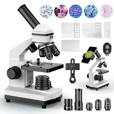 The 5 Best Microscope Review 2024 2 microscope
microscopic colitis
microscope labeled
microscopic
parts of a microscope
scanning electron microscope
electron microscope
microscope parts
compound microscope
microscopes
microscopic hematuria
transmission electron microscope
light microscope
microscopic inflammation colon
sem microscope
digital microscope
microscope parts and
microscope parts labeled
microscopic polyangiitis
tem microscope
compound light microscope
dissecting microscope
electron microscope microscope
labeled microscope
microscope definition
microscope diagram
microscope for kids
microscope slides
parts of microscope
pneumono ultra microscopic silicovolcanoconiosis
bausch and lomb microscope istx8l manual
electronic microscope
kids microscope
microscope and label
microscope bacteria in a microscope
parts of the microscope
pineapple under microscope
stereo microscope
vagina undr the microscope
1600x digital microscope driver
ant under microscope
bacteria under microscope
coin microscope
compound light microscope labeled
compound microscope labeled
digital microscopes
electron microscopes
germs under a microscope
grass under a microscope
leica dm750 cinical microscope manual
light microscope microscope
microscope and compound microscope
microscope for kindergarteners
microscope wagyu
phase contrast microscope
polished coverslips for microscope
sand under a microscope
sand under microscope
sem scanning electron microscope
soundcore microscope app
sperm under microscope
the sliding filament theory under microscope
who invented the microscope
yeast under microscope
amscope microscope
are molecular features more important than microscopic or clinical features
bausch and lomb microscope istx8l manual pdf
blood in urine microscopic
best digital microscope
best microscope mobile repairing
best microscope under 2000
digital microscope camera
best microscope camera
carson microscope
omax microscope
tomlov digital microscope