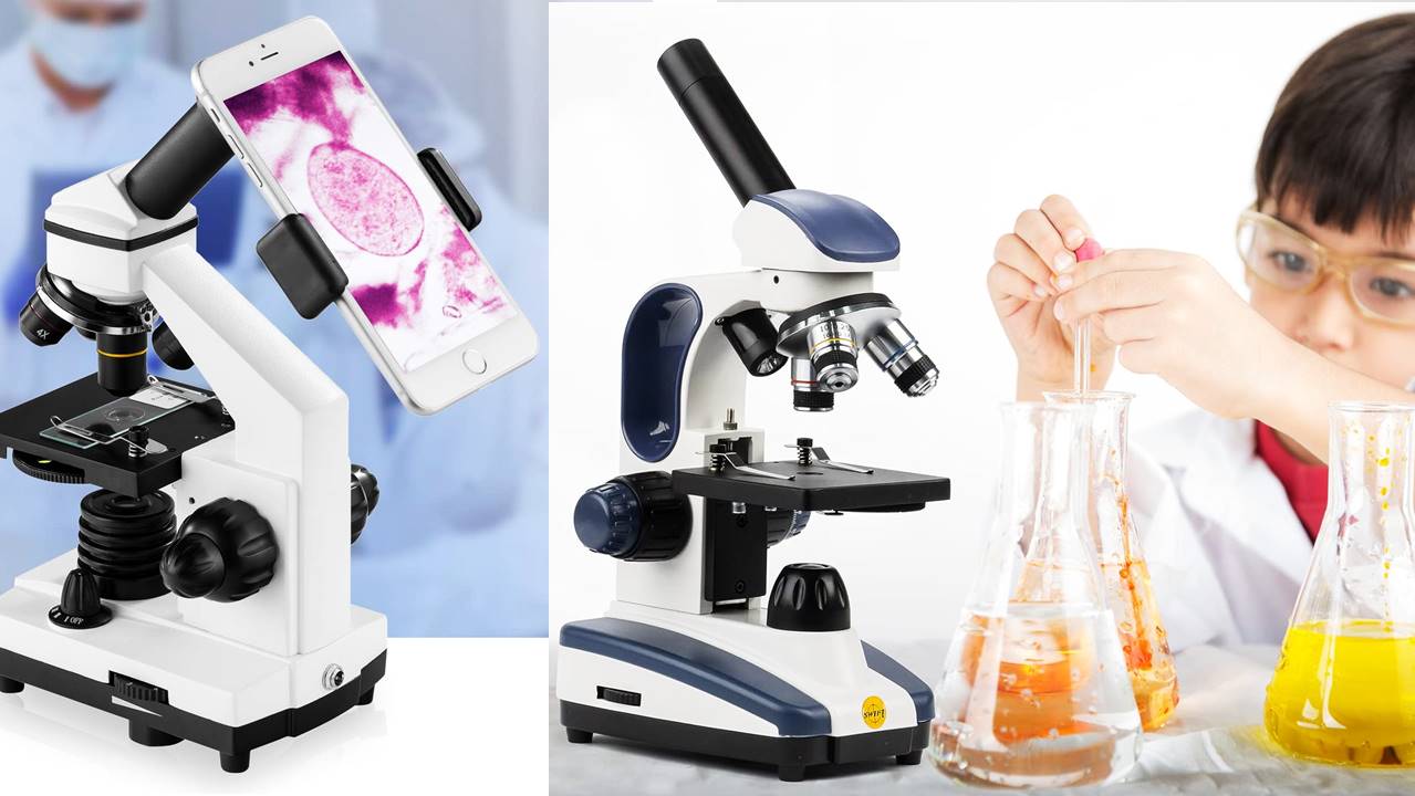 You are currently viewing The 5 Best Microscope Review 2024