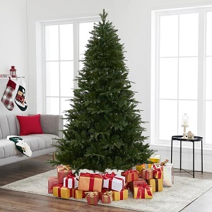 The 5 Best A Magical Christmas Tree: Lighting Up the Holiday Spirit" 5 christmas tree,
christmas tree drawing,
rockin around the christmas tree,
grinch christmas tree,
christmas tree clipart,
charlie brown christmas tree,
white christmas tree,
black christmas tree,
christmas tree farms near me,
christmas tree decorations,
christmas tree shop,
how to draw a christmas tree,
how to decorate a christmas tree,
how old was brenda lee when she sang rockin around the christmas tree,
where was taylor swift's christmas tree farm?,
how old was brenda lee when she sang rockin' around the christmas tree,
how to put ribbon on a christmas tree,
how to put lights on a christmas tree,