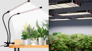 Read more about the article Top  5 LED Grow Lights for Healthy, Thriving Plants 2025