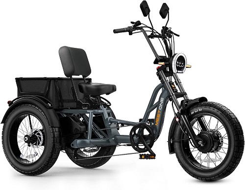 The 5 Best Electric Trikes in 2025 6
electric trikes
electric trikes for adults
electric trikes for sale
electric trikes for seniors
electric trikes near me
best electric trikes
adult electric trikes
fat tire electric trikes
used electric trikes for sale near m