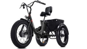 Read more about the article The 5 Best Electric Trikes in 2025