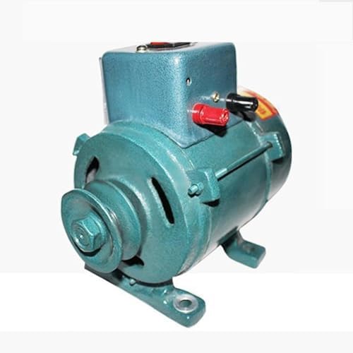 Top 7000W Brushless Permanent Magnet Generator – Powerful 220V Backup Power! 1 41tpeoivlnL. AC